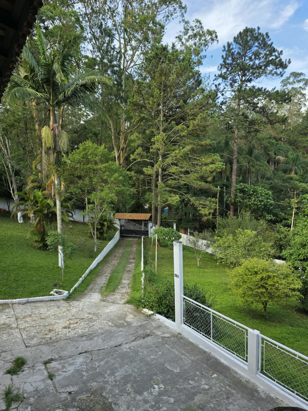Ponte e caminho entre a vegetação dos jardins da Arhat.